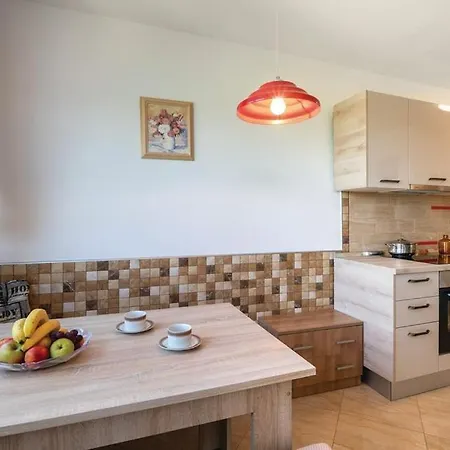 Popovic Apartment