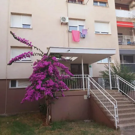 Popovic Апартаменты *